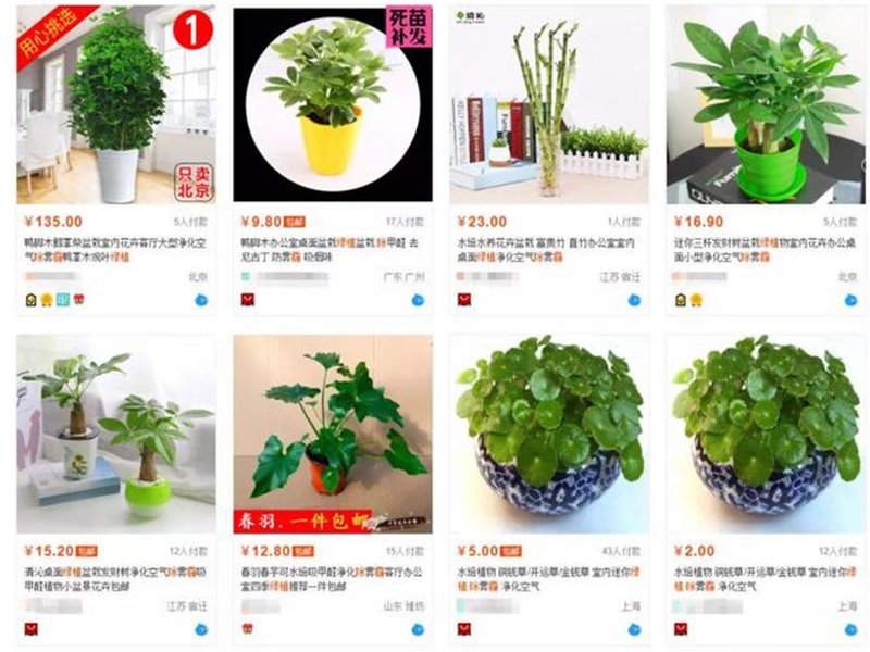 三恒系统