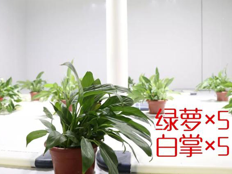 三恒系统