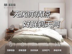 三恒系统的优缺点，有点想要了解的吗